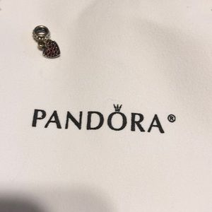Pandora charm